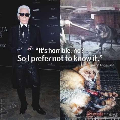 fendi animal cruelty|why is fendi not selling fur.